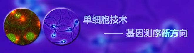 單細胞測序分析技術在轉化醫學領域的應用講解介紹